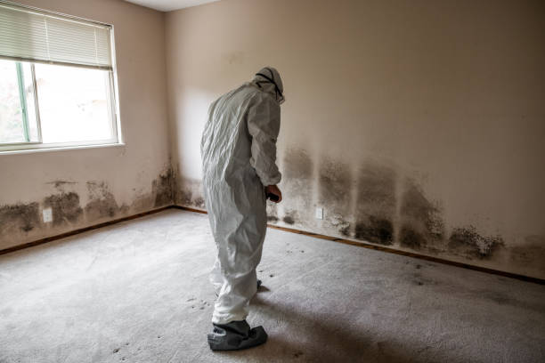 Best Mold Testing  in Midland, NC